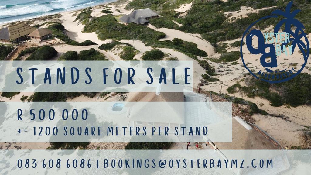 WhatsApp Image 2023-05-12 at 17.39.22 (7)